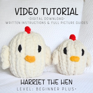 Hand Knit Hen VIDEO Tutorial/Pattern, BEGINNER Plus, Learn How to Finger Knit, Hand Knitting, Crochet Chicken, Tutorial, Pattern, DIY