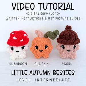 Puede incluir: Un tutorial de descarga digital para peluches de ganchillo titulado Little Autumn Besties. La imagen muestra tres figuras de hilo: un hongo rojo y blanco, una calabaza naranja con tallos verde y rosa, y una bellota marrón, todas con ojos negros.
