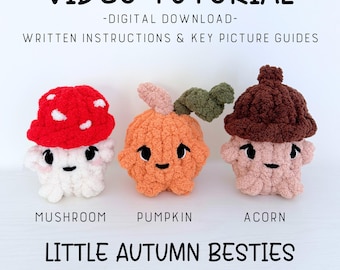 Little Autumn Besties Pattern and Video Tutorial, Finger Knit Mushroom, Acorn, Pumpkin Hand Knit Pattern