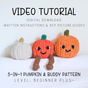 3-in-1 Pumpkin & Buddy Video Tutorial/Pattern, Learn How to Finger Knit, Hand Knitting, Hand Knit Pumpkin, Finger Knit Tutorial, Tutorial