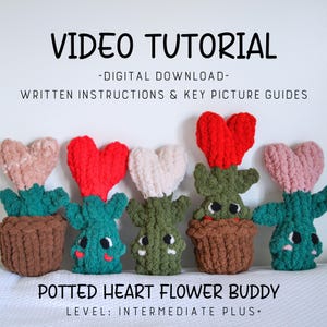 Peut inclure: Cinq amis fleurs en pot en forme de cœur au crochet. Les fleurs sont rouges, roses et blanches. Les pots sont bruns. Les cactus sont verts. Les fleurs ont une forme de cœur. Les cactus ont un visage avec des yeux et une bouche. Le texte "POTTED HEART FLOWER BUDDY" et "LEVEL: INTERMEDIATE PLUS+" est en bas de l'image.