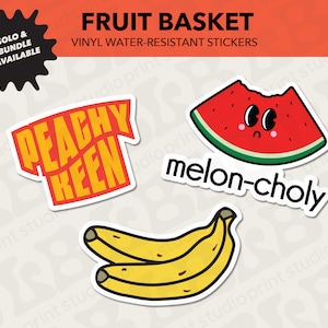 Fruit Basket Stickers | Fruit Stickers | Relatable Stickers | water-resistant vinyl stickers | flask stickers | Laptop decal