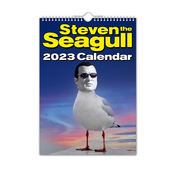 Steven 'THE' Seagull 2023 Wall Calendar // Funny / - Etsy