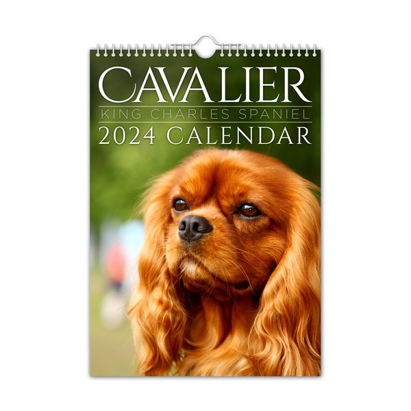 Cavalier King Charles - 2024 Wall Calendar // Pet / Animal / Christmas / Birthday / Gift Idea / Present / Novelty / Humour / Secret Santa