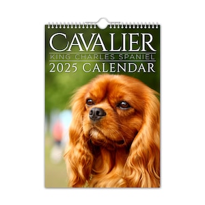 Cavalier King Charles - Calendário de parede 2025 // Animal de estimação / Natal / Aniversário / Ideia de presente / Presente / Novidade / Humor / Amigo secreto