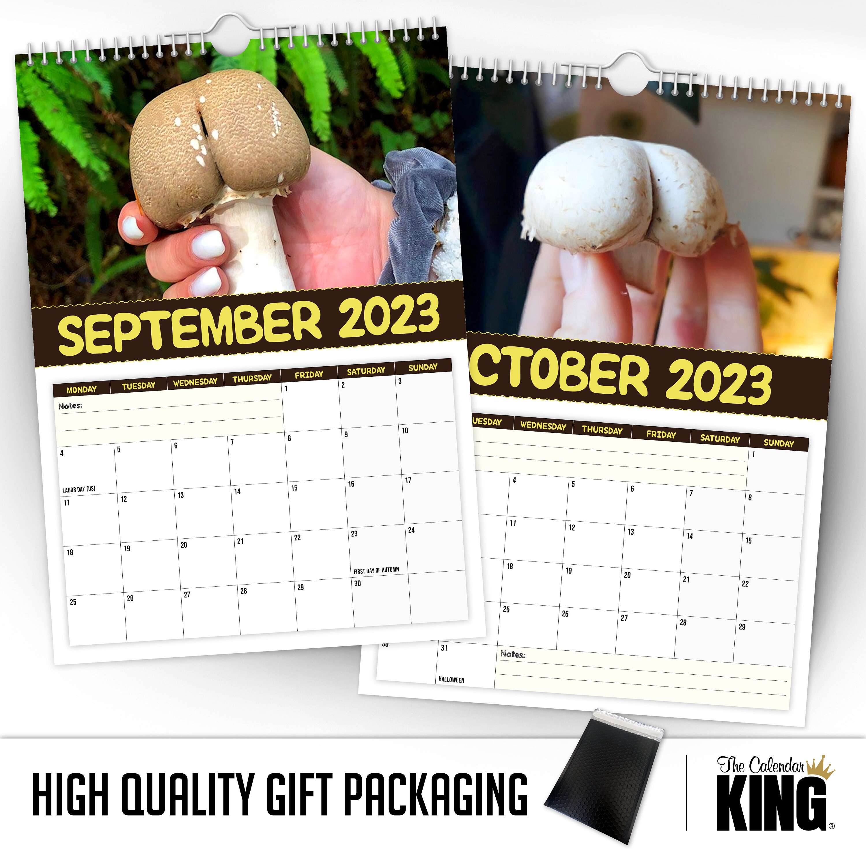 World s Greatest Mushrooms 2023 Wall Calendar Funny Quirky Christmas world-s-greatest-mushrooms-2023-wall-calendar-funny-quirky-christmas