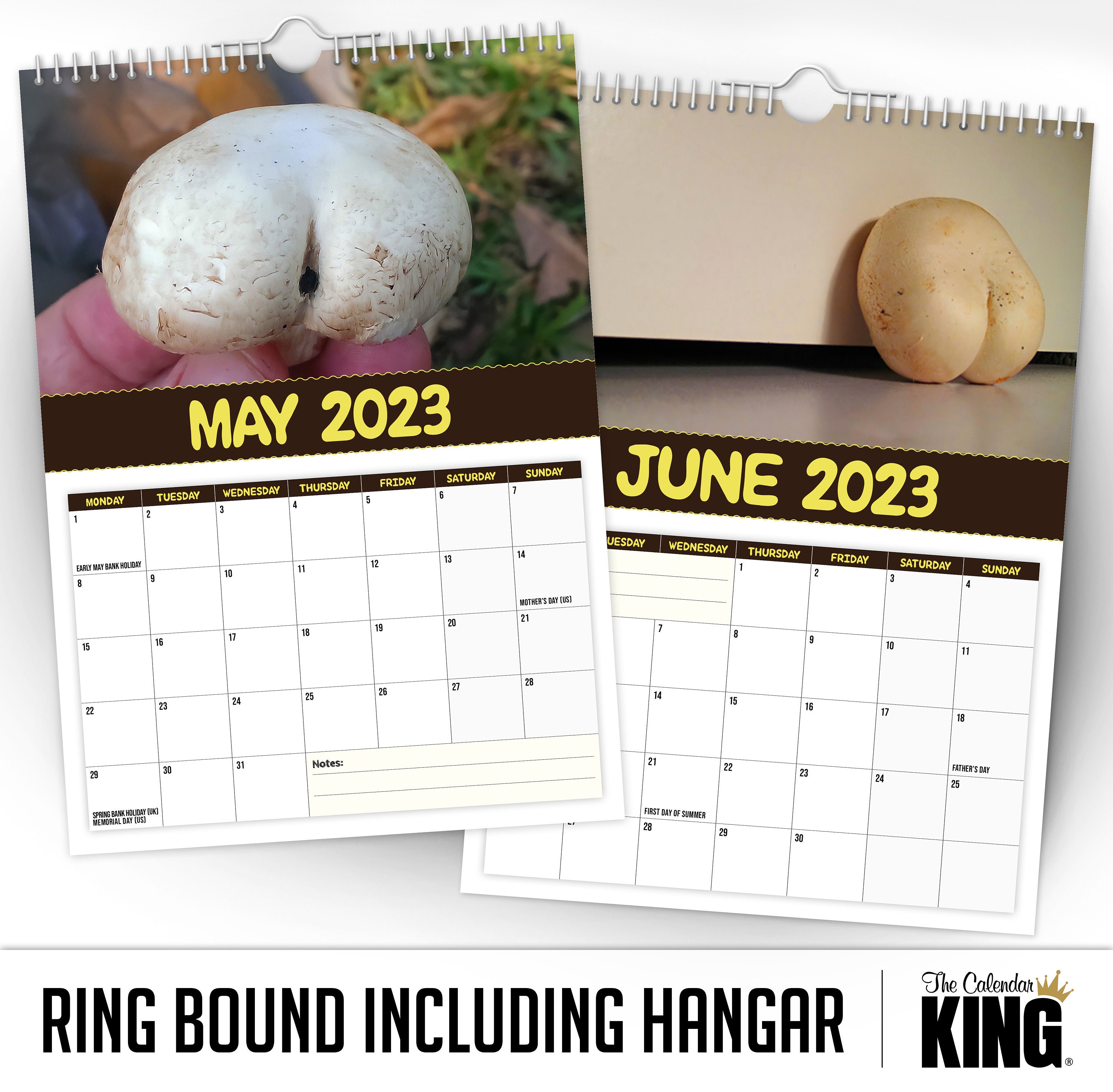 world-s-greatest-mushrooms-2023-wall-calendar-funny-quirky-christmas