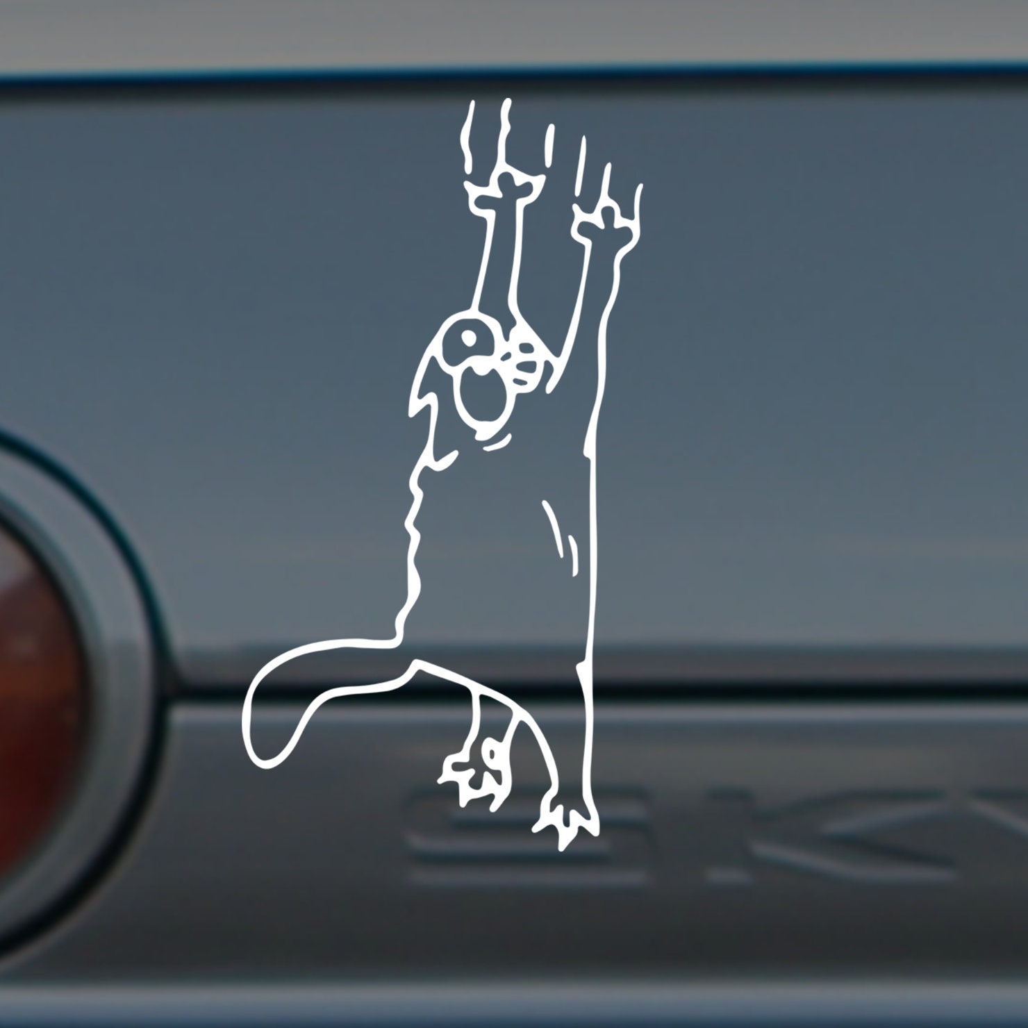 Funny Cat Hanging Decal Sticker Etsy