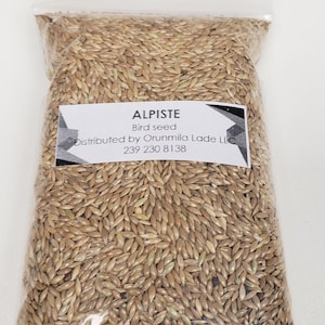 May include: A clear plastic bag filled with alpiste bird seed. A white label on the bag reads "ALPISTE Bird seed" with distributor information and a phone number. The seeds are a light tan color.