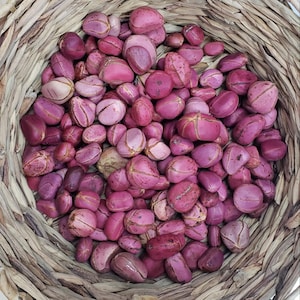 obi abata 3,4 and 5 lobes 1 pound- 0rganic kola in special