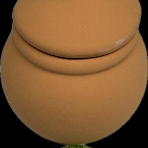 May include: A terracotta jar with a lid, featuring a green and yellow label with the text "Orunmila Lade Botanica LLC".