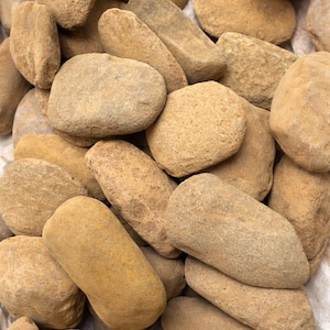 EDU ARA shango from Nigeria medium size