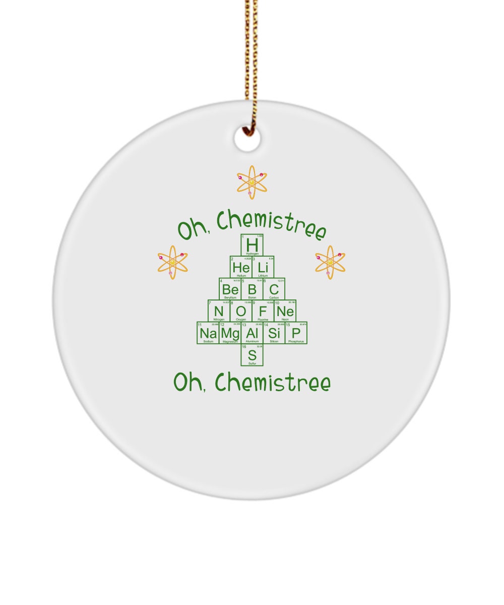 Erlenmeyer Flask Ornament - Fun Science Christmas Tree Ornaments for S -  The Lab Partners Jewelry
