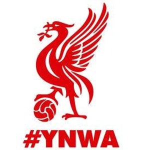 Liverpool FC bird Red vinyl decal stickers for car
