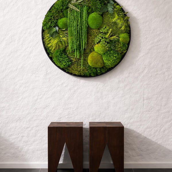 Cuadro decorativo de musgo enmarcado: Musgo y helecho preservados redondos