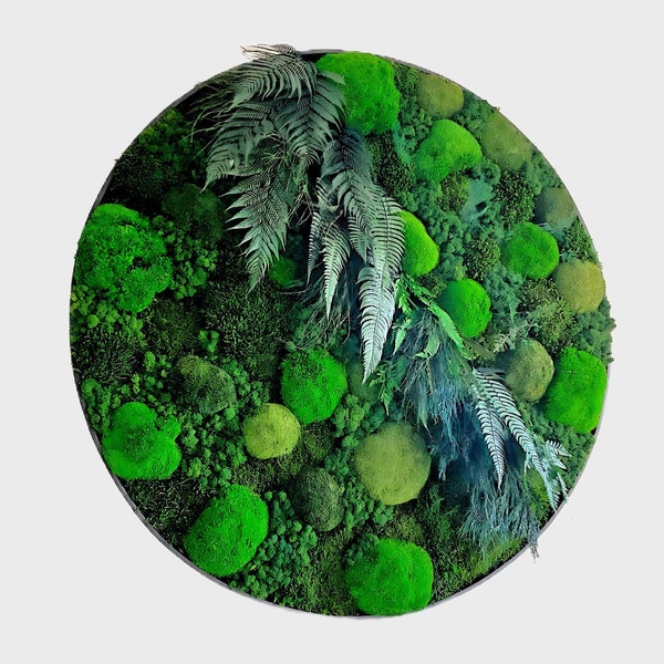 Moss wall art.  Round Living wall. Preserved Moss circle.  Green Wall Art