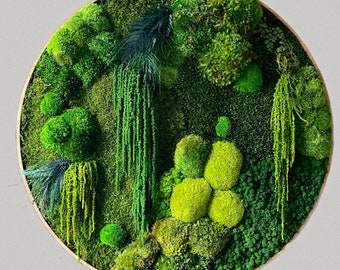 May include: A circular wall art piece featuring preserved moss in various shades of green, arranged in a natural, organic pattern. The moss is mounted on a wooden frame, creating a textured and visually appealing piece.