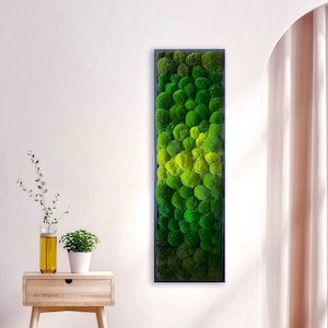 Moss Wall Art.  Preserved Moss.  Moss frame.  Elongated Art. Green Wall