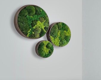 Moss wall art. Moss wall. Moss frame. Preserved moss.  No maintenance