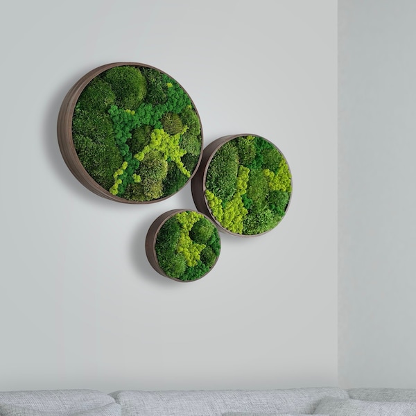 Moss wall art. Moss wall. Moss frame. Preserved moss.  No maintenance