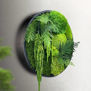 Moss wall art - Preserved Moss - Round art -  circular art - living wall