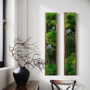 Moss Wall Art. Moss Wall. Moss Art Panels. Green Wall Art.
