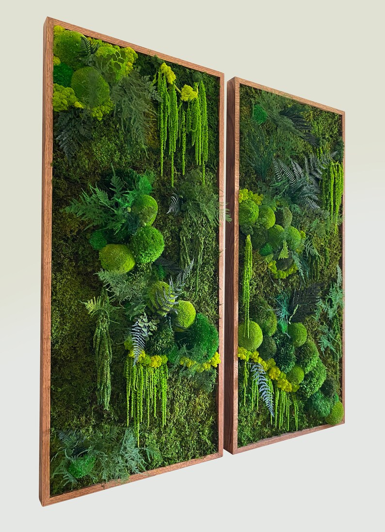 Moss Wall Art. Moss Art. Preserved Moss. Living Wall. Plant Etsy