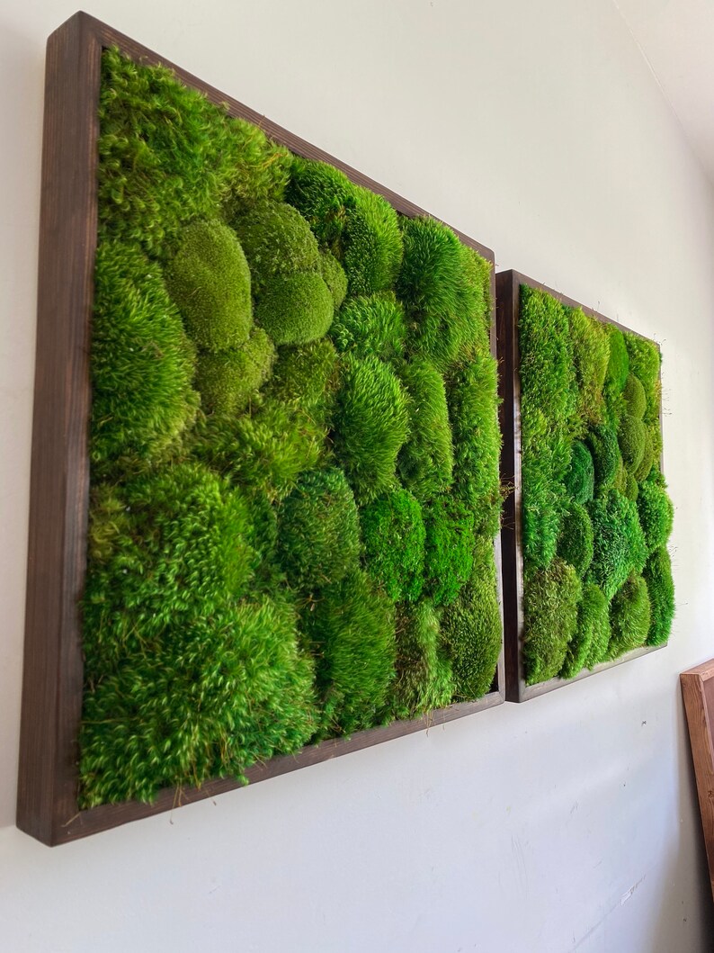 Moss Wall Art. Mosswall. Preserved Moss Art. Green Wall Art Etsy