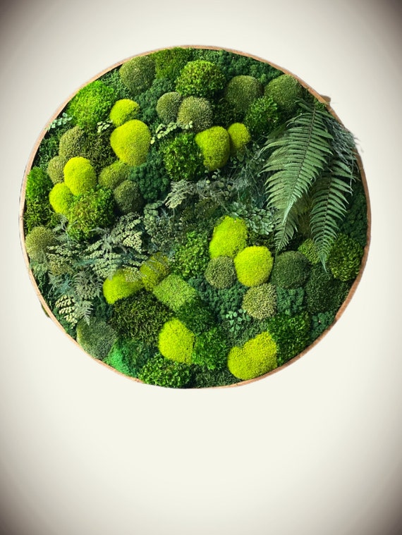 Round Moss Art, Preserved Moss Art