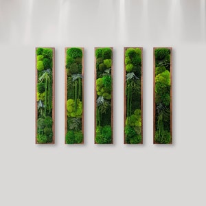 Moos Wandkunst. Mooswand. Moos-Kunst-Panels. Grüne Wanddeko.