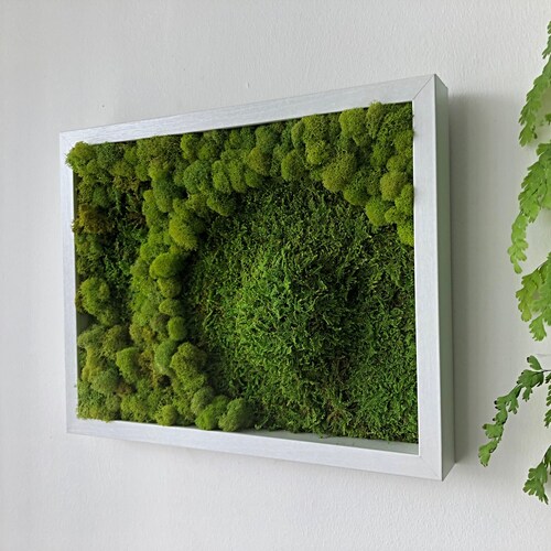 Moss Wall Art. Botanical Art. Living Wall Garden. Moss Art Etsy