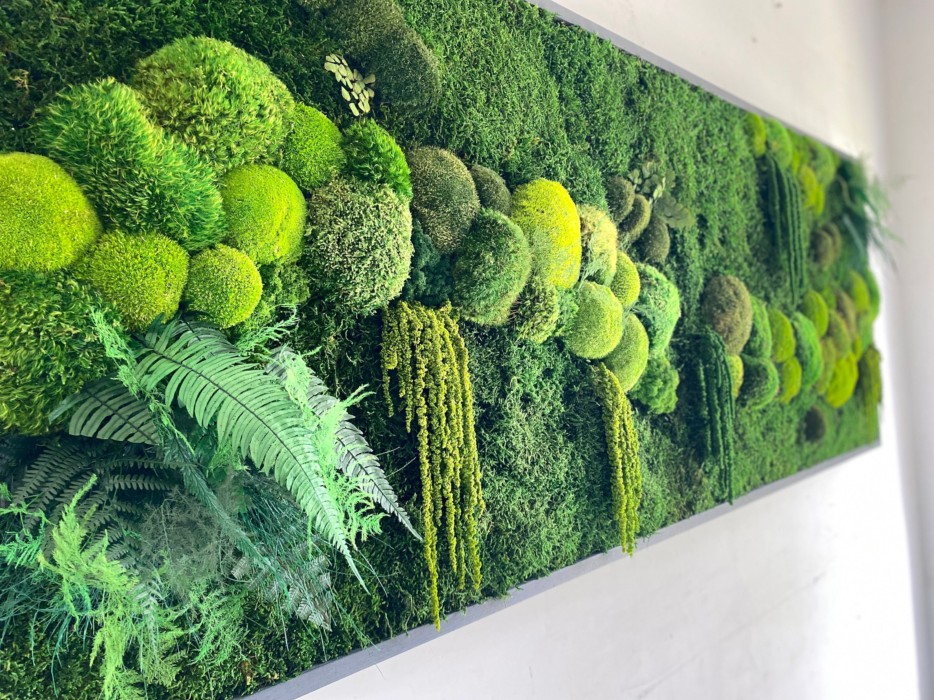  Living Moss Wall Art, Indoor Green Walls, Ideal for Work  Environments, Preserved Moss Decor, Floral Artistry, Moss Wall, Flower  Sculpture, Plant Art, Preserved Art (40 x 18) : Handmade Products