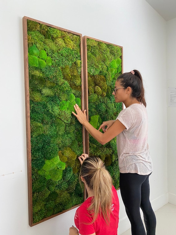 プリザーブドモスのウォールアート：ナチュラルな室内植物の装飾