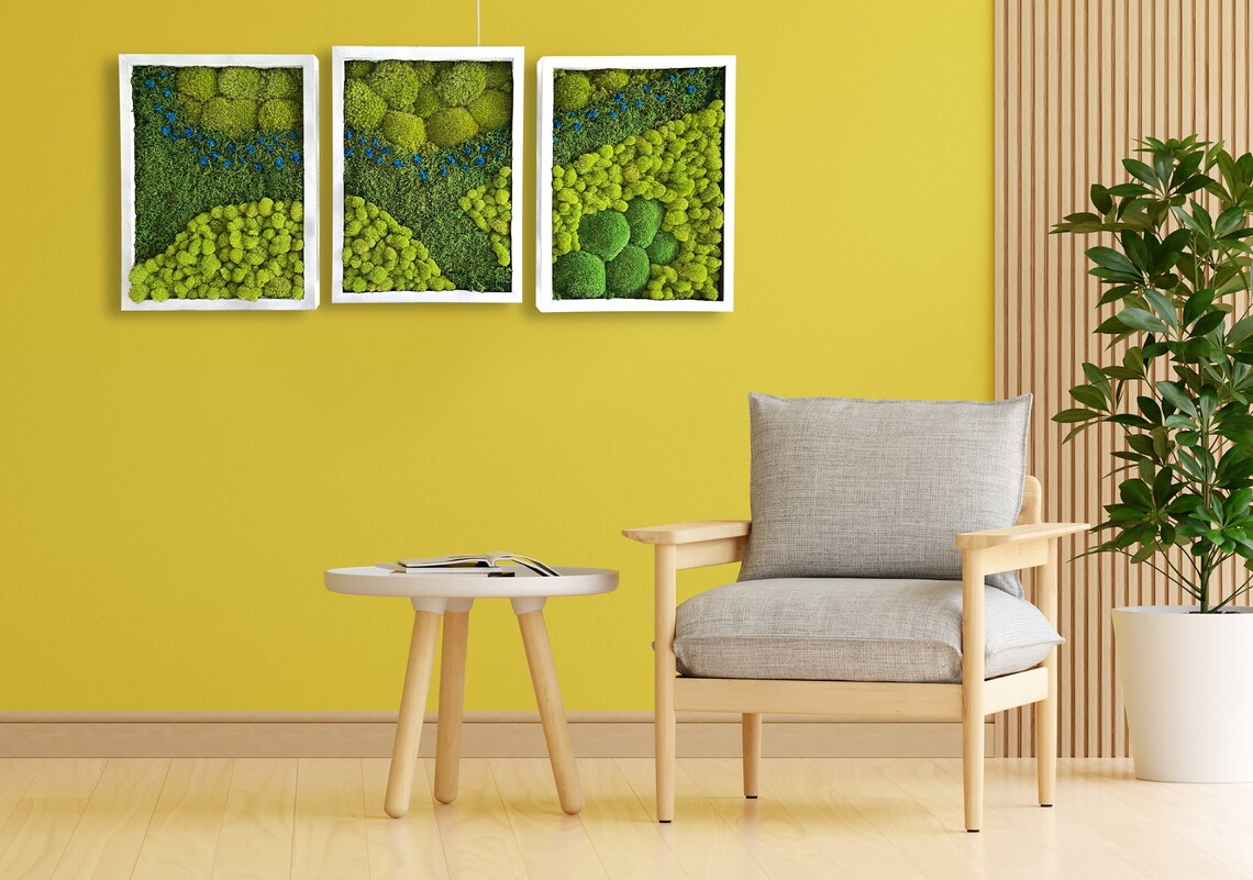 Moss Wall Art. Moss Frame. Green Wall Art. Wall Decor. Etsy