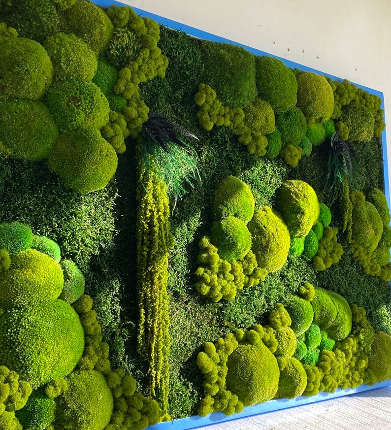 Moss Wall Art Preserved Moss Art Moss Frame Planted Wall Etsy