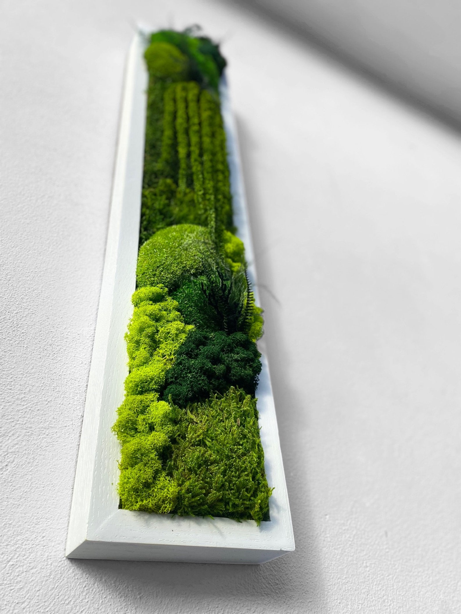 Moss Wall Art. Moss Wall. Moss Art Panels. Green Wall Art. Etsy UK