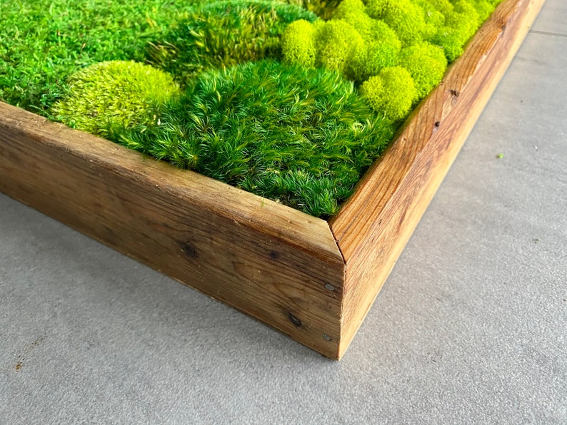 Moss Wall Art Preserved moss Nature Art Moss wall Etsy