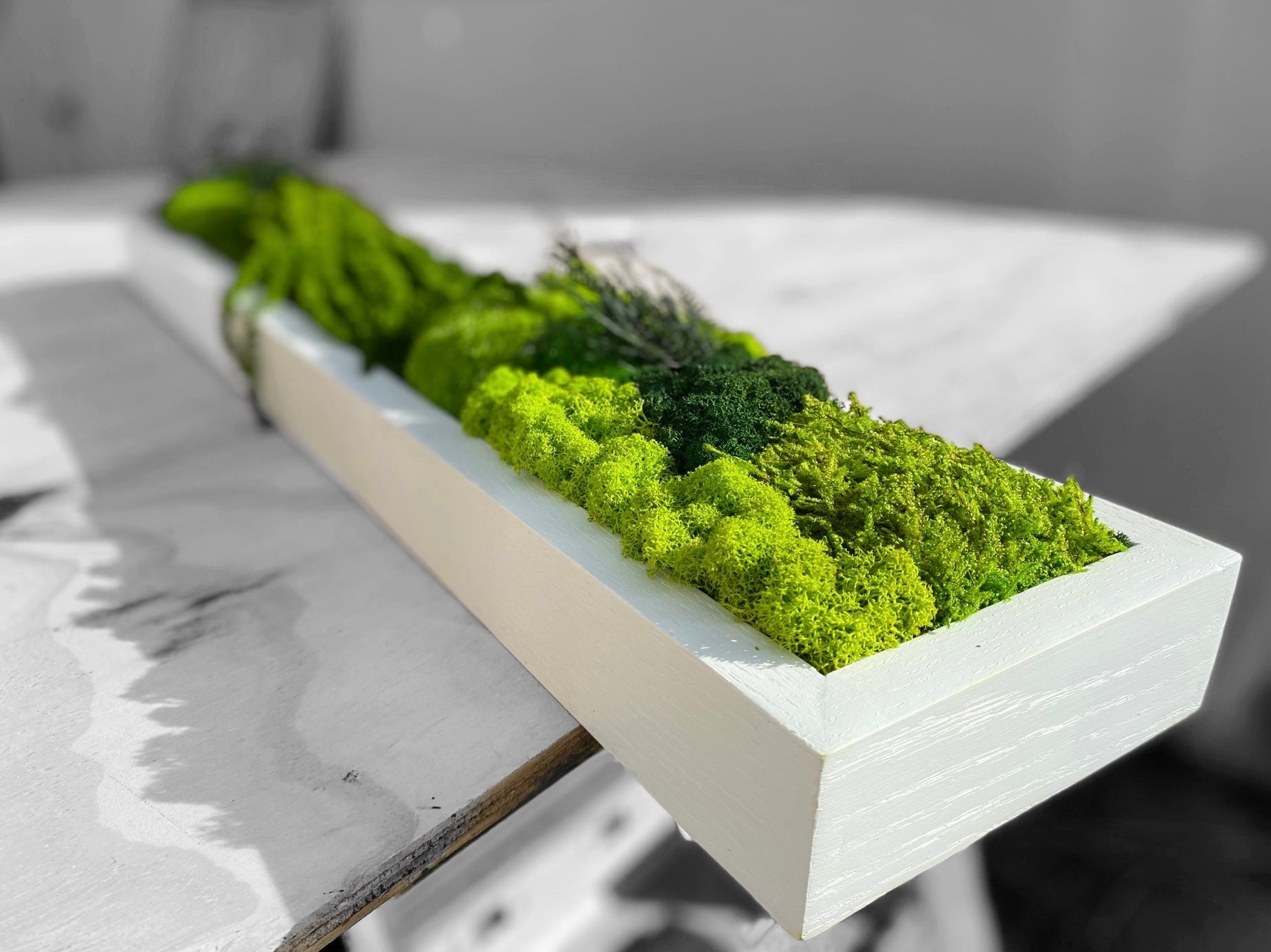 Moss Wall Art. Moss Wall. Moss Art Panels. Green Wall Art. Etsy UK