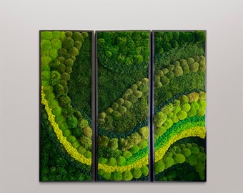 May include: A wall art piece made of preserved moss in shades of green and yellow. The moss is arranged in a flowing, organic pattern, creating a natural and calming aesthetic.