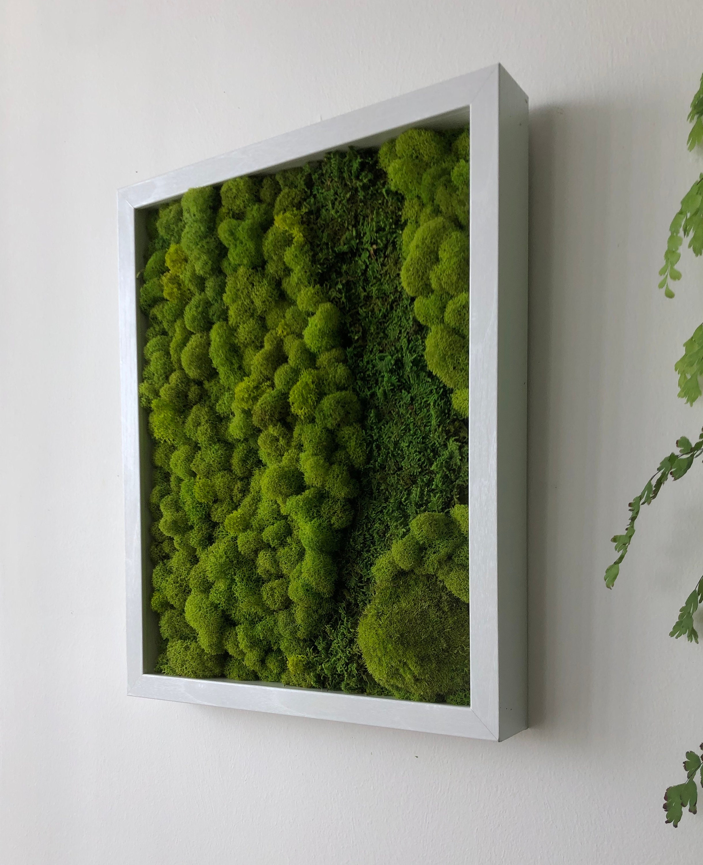 outdoor moss wall on Moss Wall Art Preserved Moss Nature Art Living Art Etsy