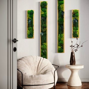 Preserved Moss Wall Art: Natural Greenery Panel with Ferns.  Moss Panels