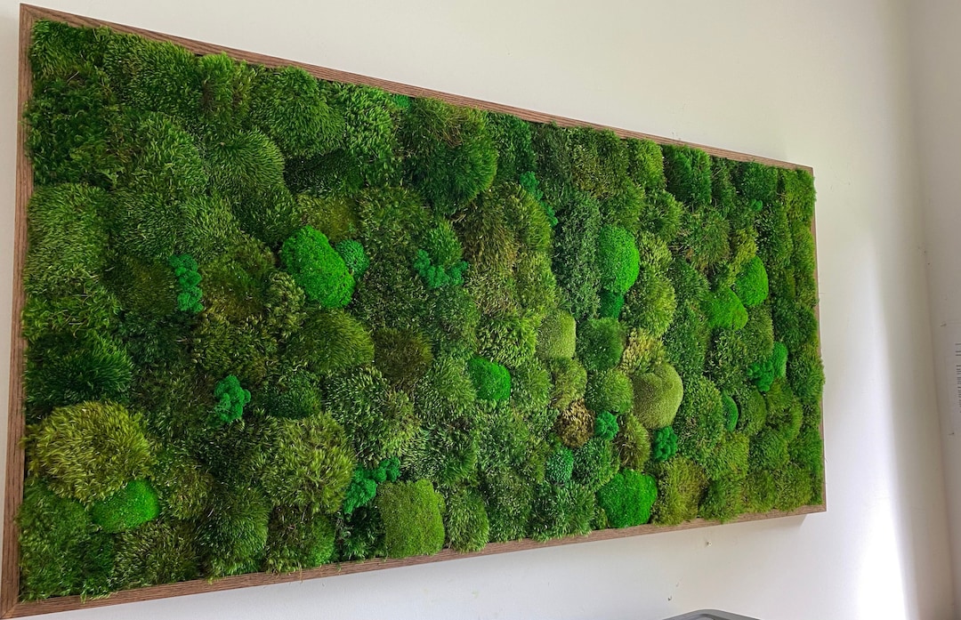 Moss Wall Art. Moss Frame. Green Wall Art. Wall Decor. Preserved Moss ...