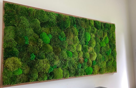 Moss Wall Art. Preserved Moss Decor. Plant Wall. Moss Art