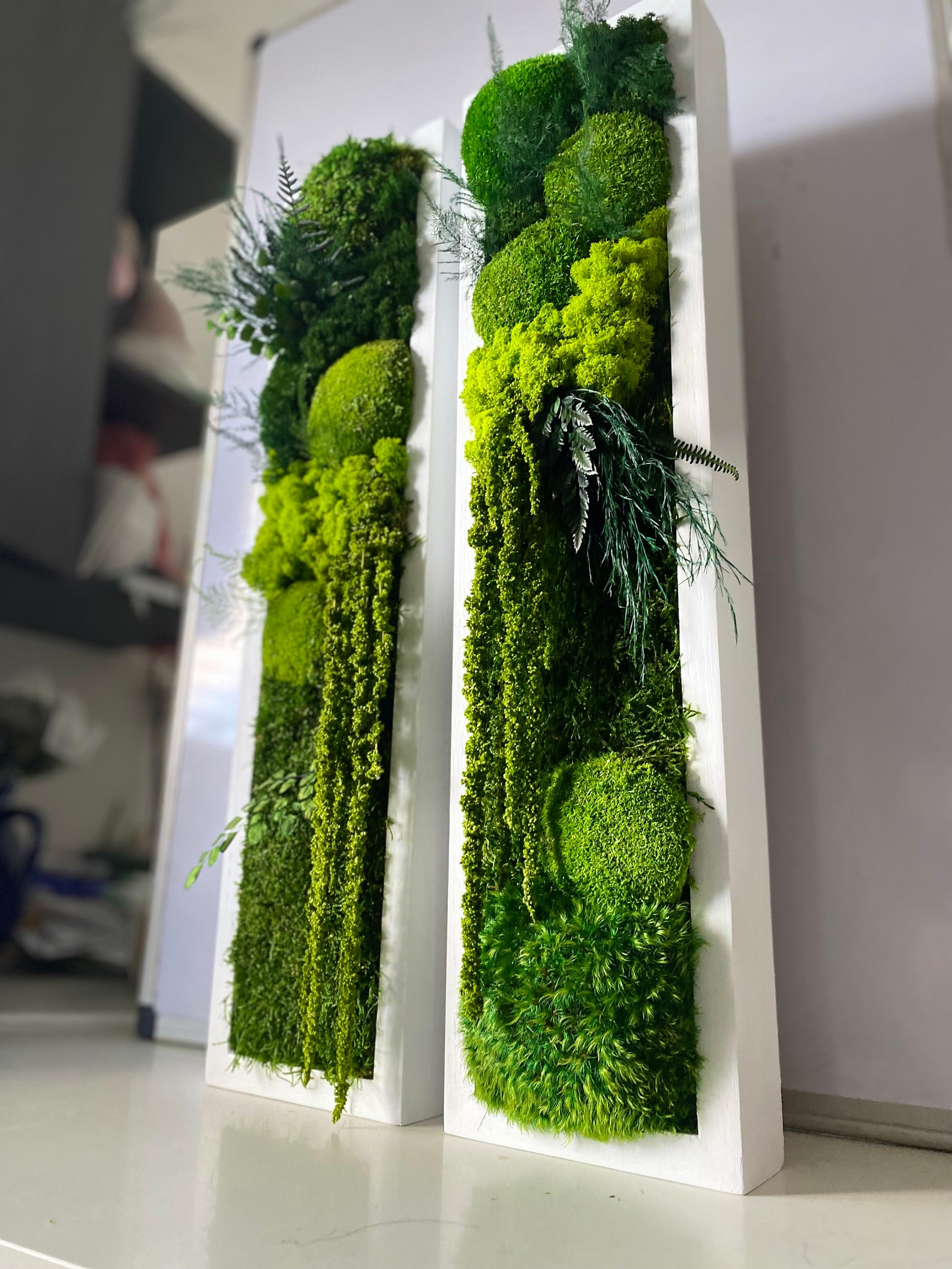 Moss Wall Art. Moss Wall. Moss Art Panels. Green Wall Art. Etsy UK