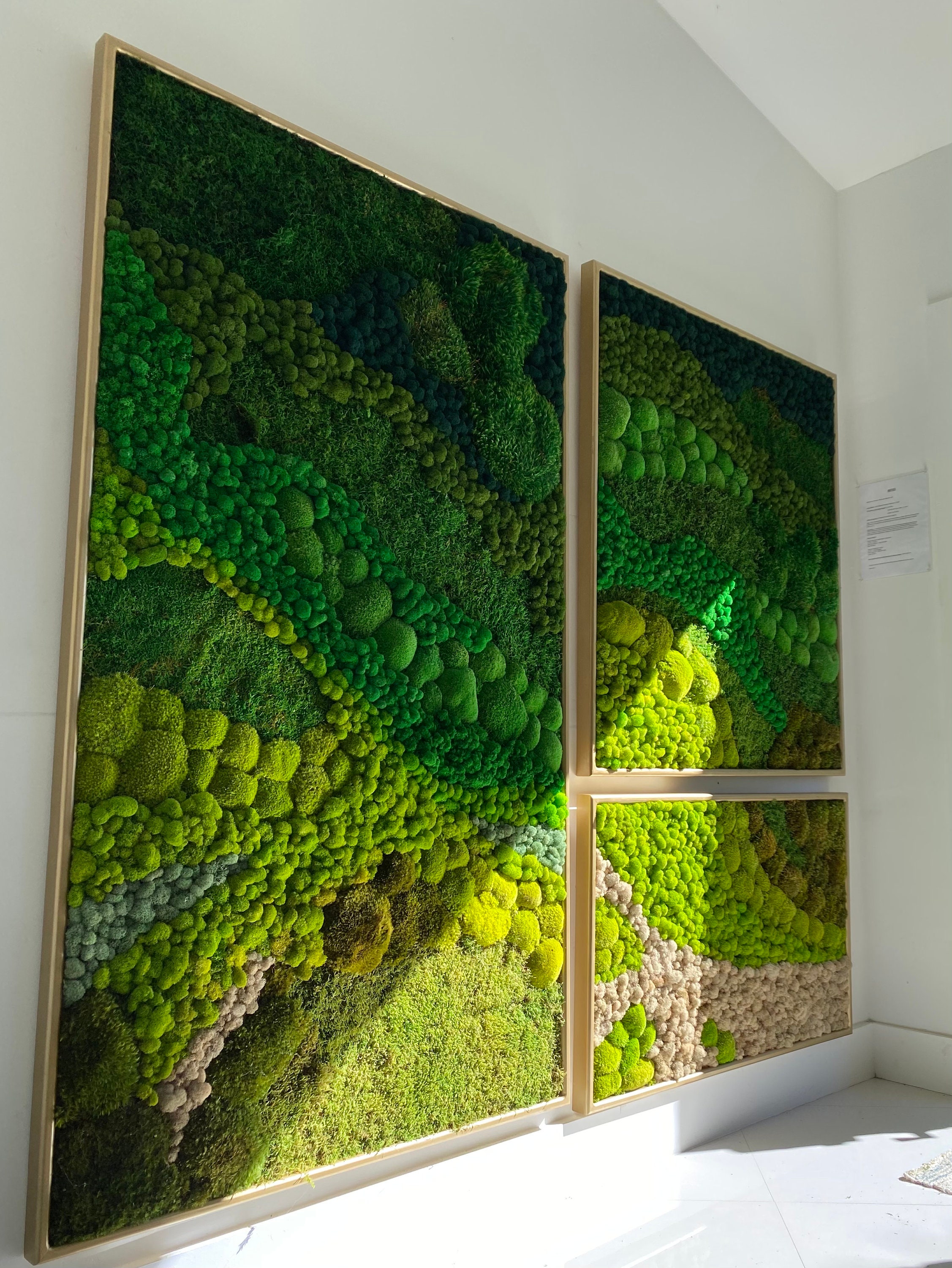 Panel de musgo verde natural 114x28,5cm para murales y paredes de musgo  natural - musgo-natural