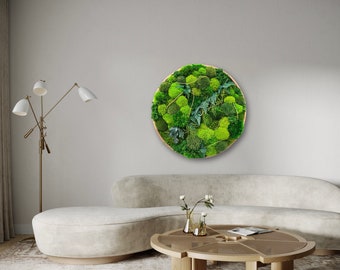Framed Round Moss Art: Botanical Wall Hanging.  Moss circle