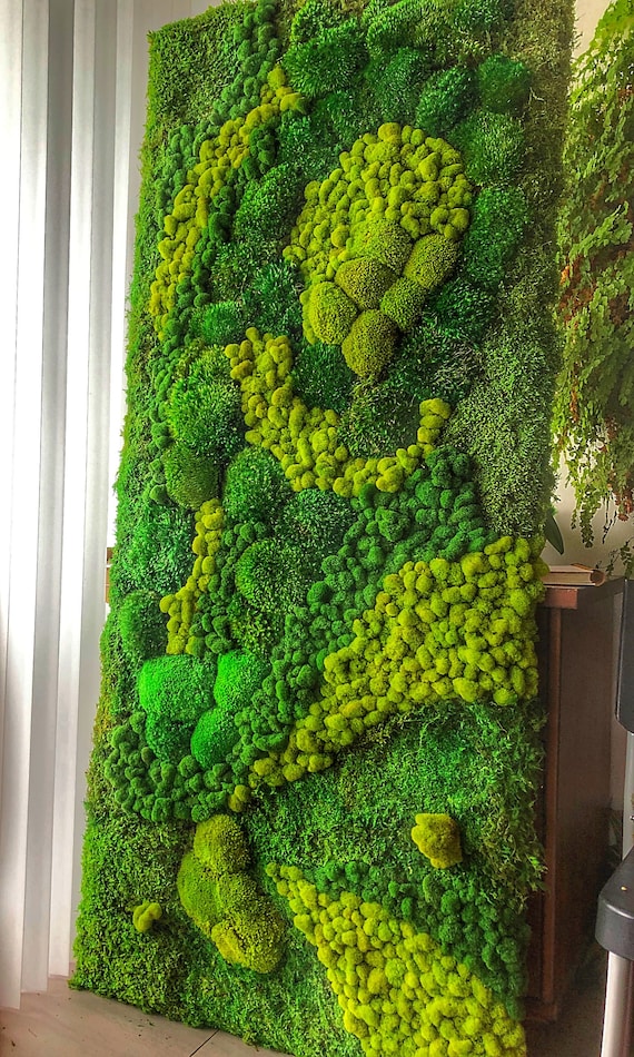 Moss Wall Art. Moss Frame. Green Wall Art. Wall Decor. Preserved