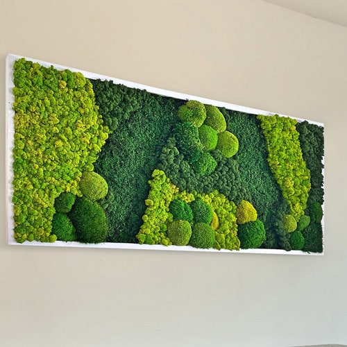Moss Wall Art. Large Moss Frame. Green Wall Art. Wall Decor. - Etsy