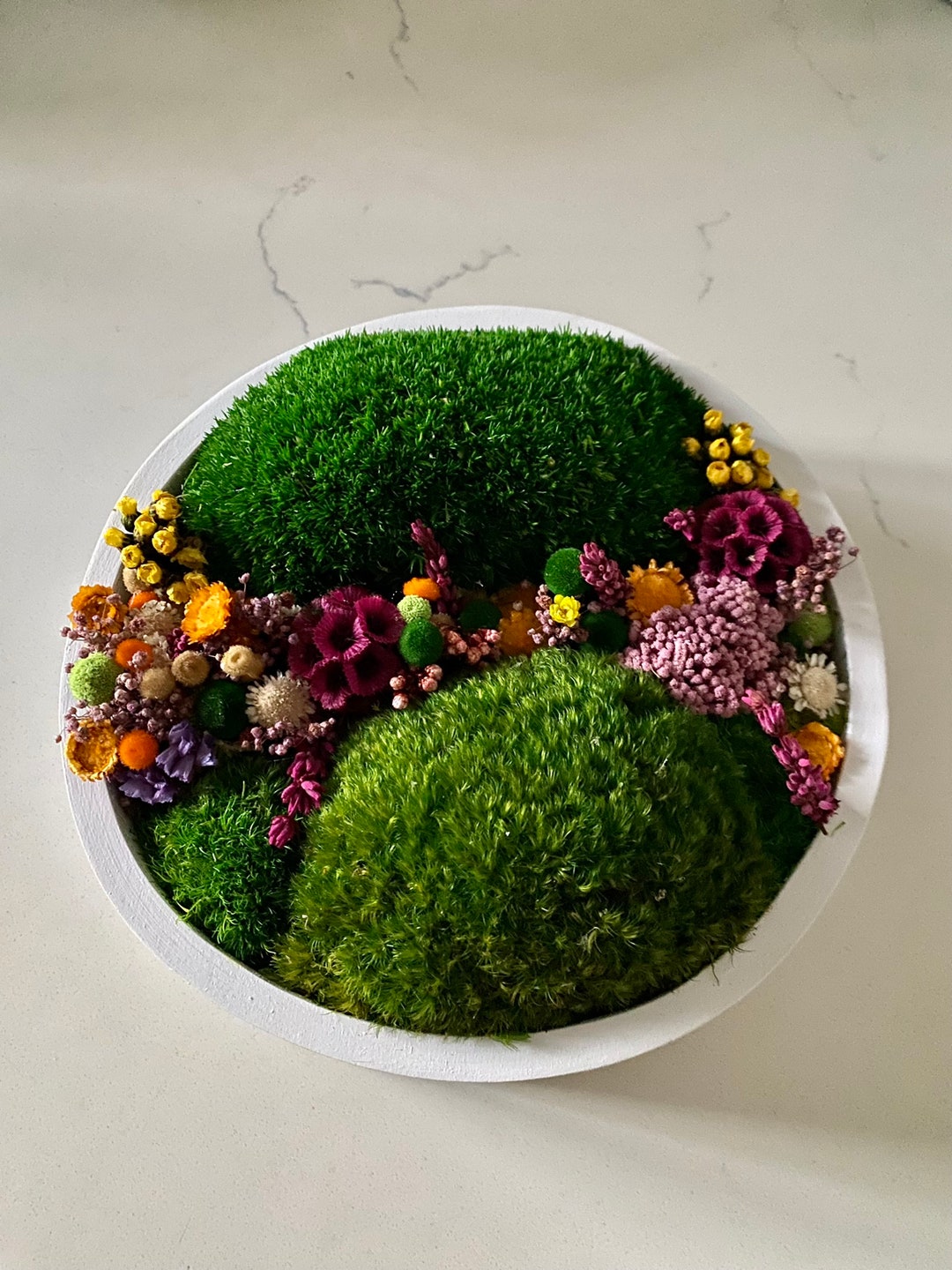 Moss Wall Art. Circle Moss Art. Flower Frames. Preserved Moss Etsy