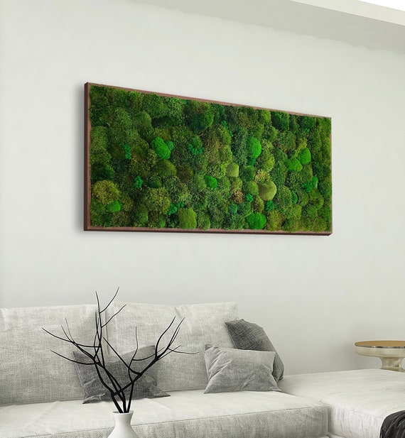 Moss Wall Art. Moss Frame. Green Wall Art. Wall Decor. Preserved